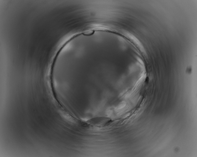 X0000102491427200809051311