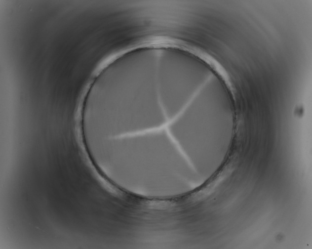 X0000102491429200809051312