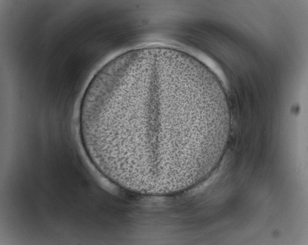 X0000102491431200809051312