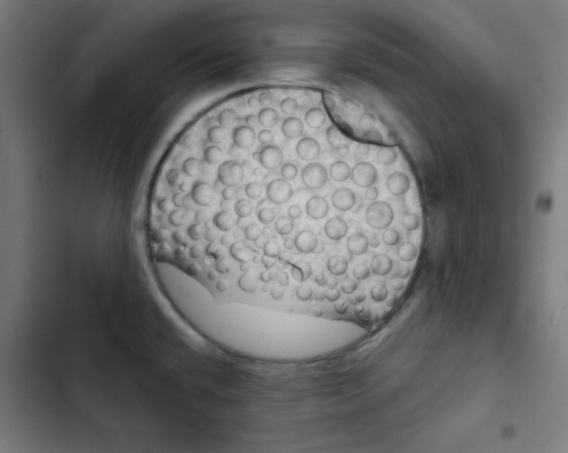 X0000102491432200809051312