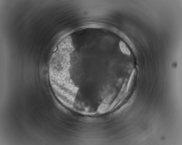 X0000102491433200809051312