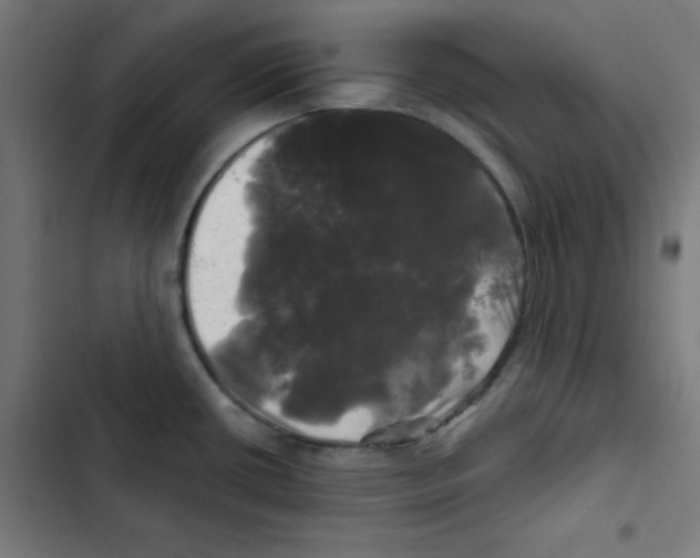 X0000102491434200809051312