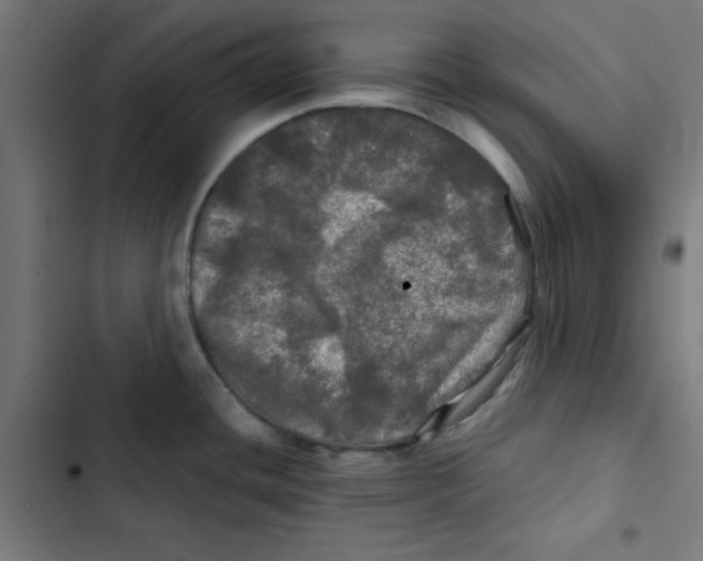 X0000102491436200809051312