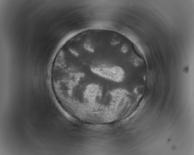 X0000102491437200809051312