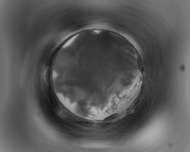 X0000102491438200809051312