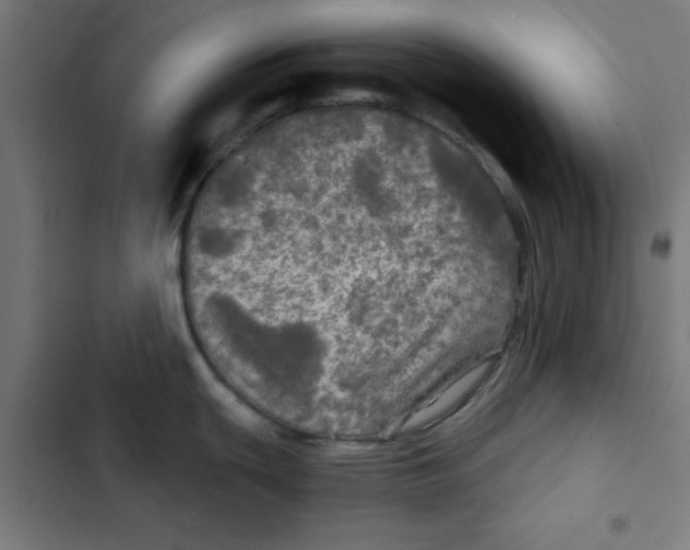 X0000102491439200809051312