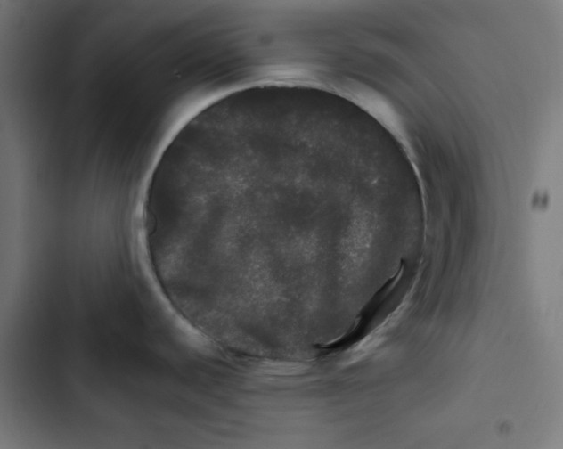 X0000102491440200809051312