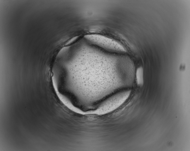 X0000102491443200809051311