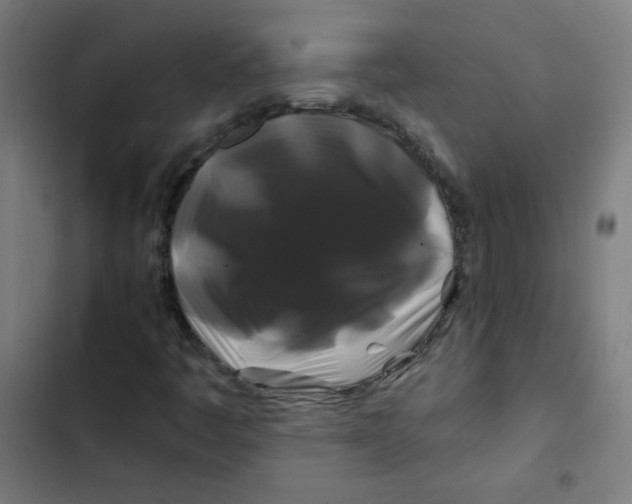 X0000102491445200809051311