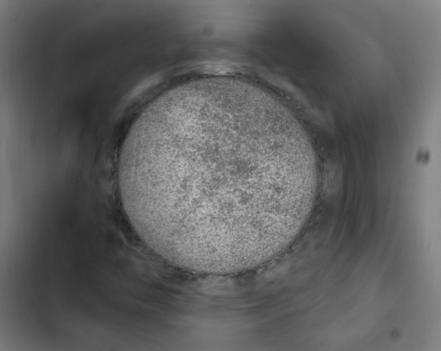 X0000102491446200809051311