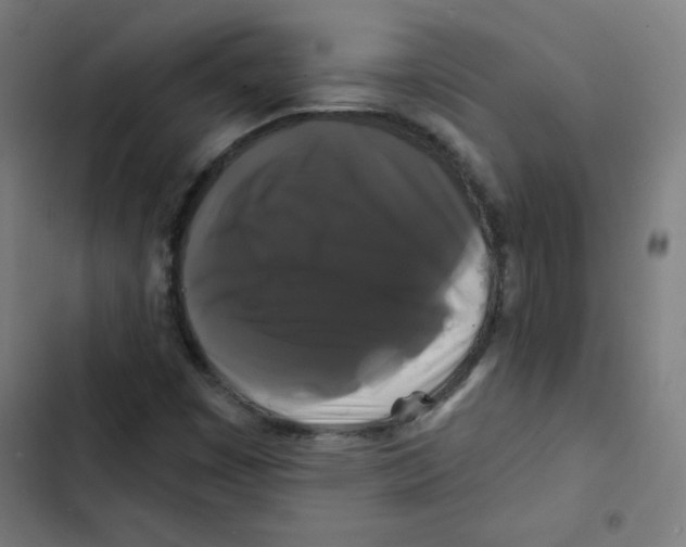 X0000102491449200809051311