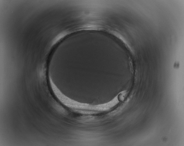 X0000102491450200809051311