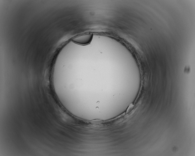 X0000102491451200809051311