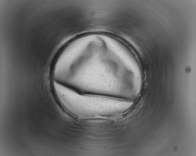 X0000102491452200809051311