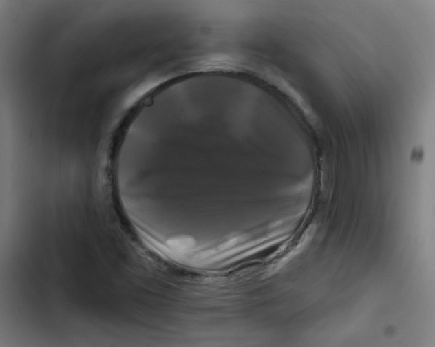 X0000102491453200809051311