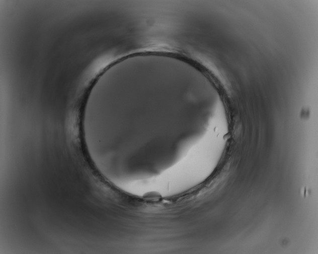 X0000102491455200809051311