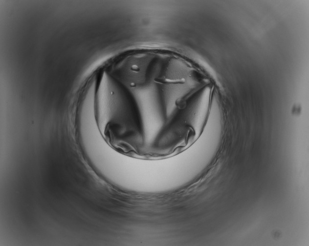 X0000102491456200809051311