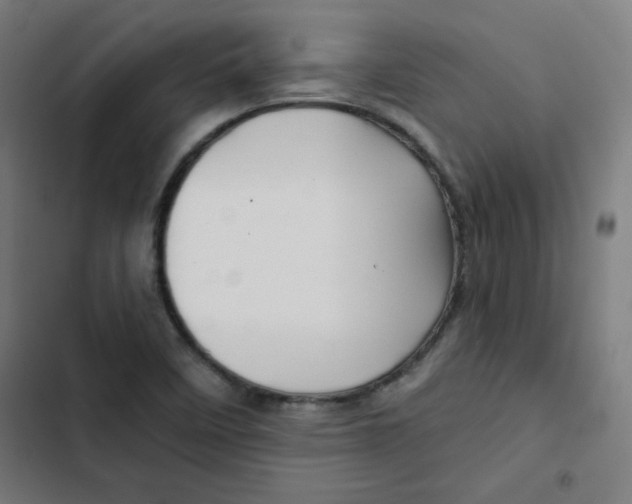 X0000102491458200809051311