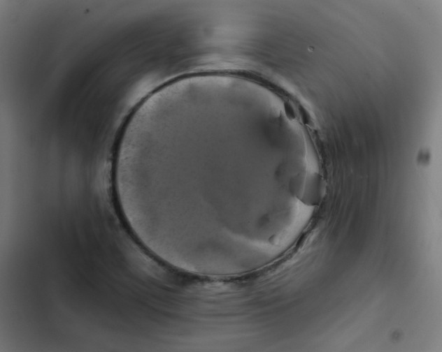 X0000102491459200809051311