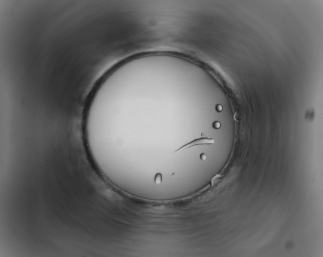 X0000102491460200809051311