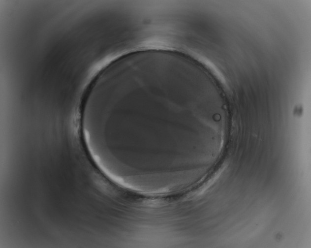 X0000102491461200809051311