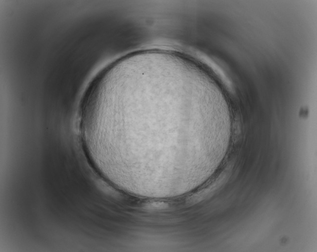 X0000102491462200809051311