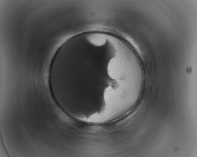 X0000102491463200809051311