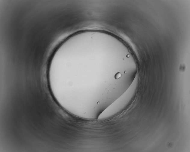 X0000102491464200809051311