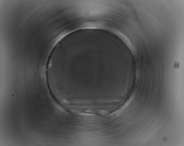 X0000102491465200809051311