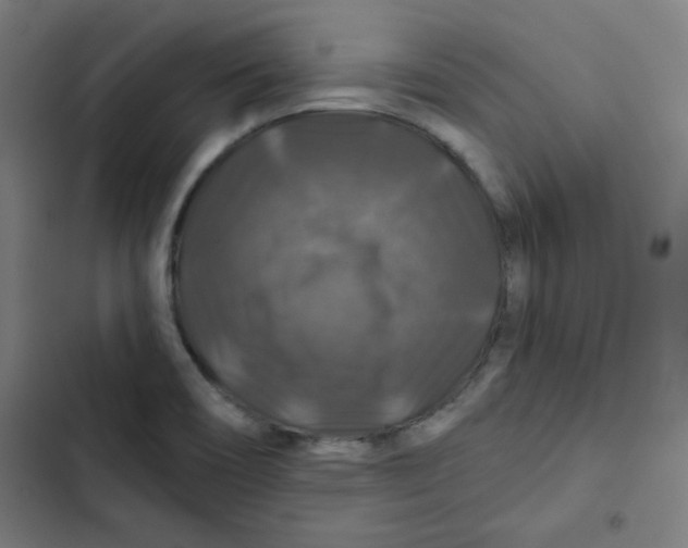 X0000102491466200809051311