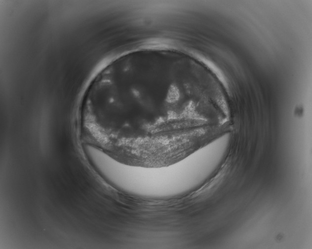 X0000102491467200809051311