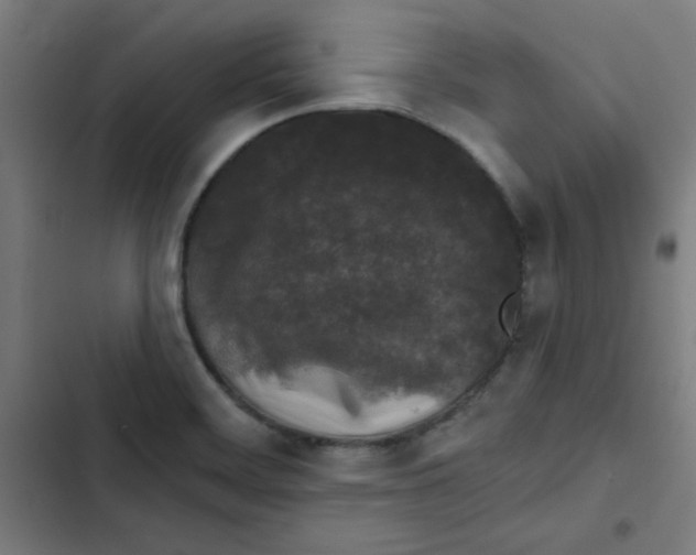 X0000102491468200809051311