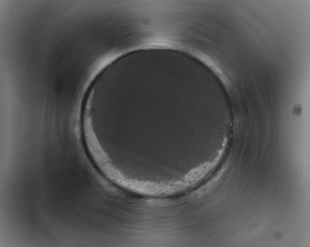 X0000102491469200809051311