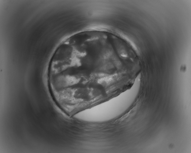 X0000102491471200809051311