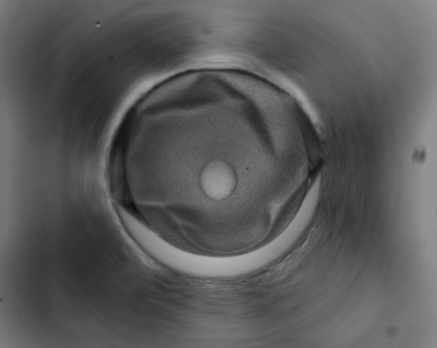 X0000102491472200809051311