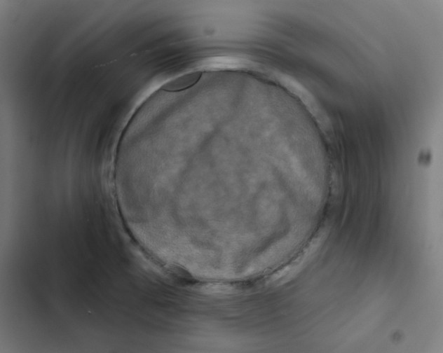 X0000102491473200809051311