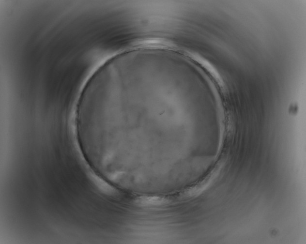 X0000102491474200809051311