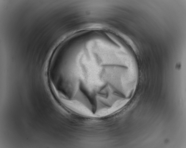 X0000102491475200809051311