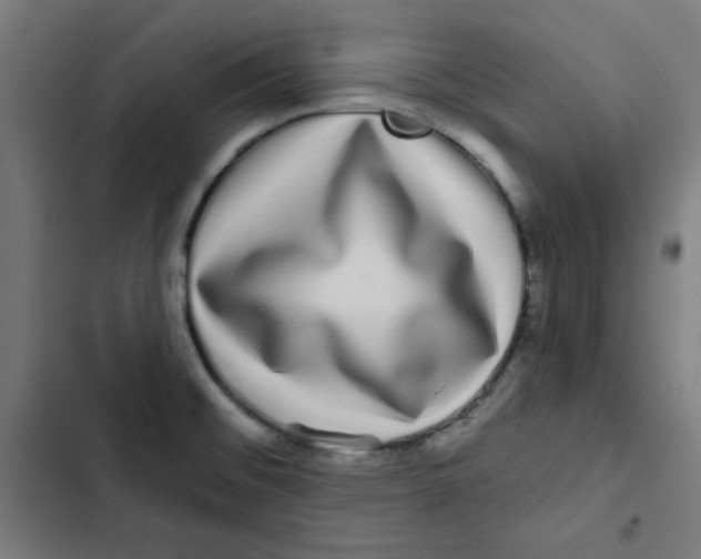 X0000102491476200809051311