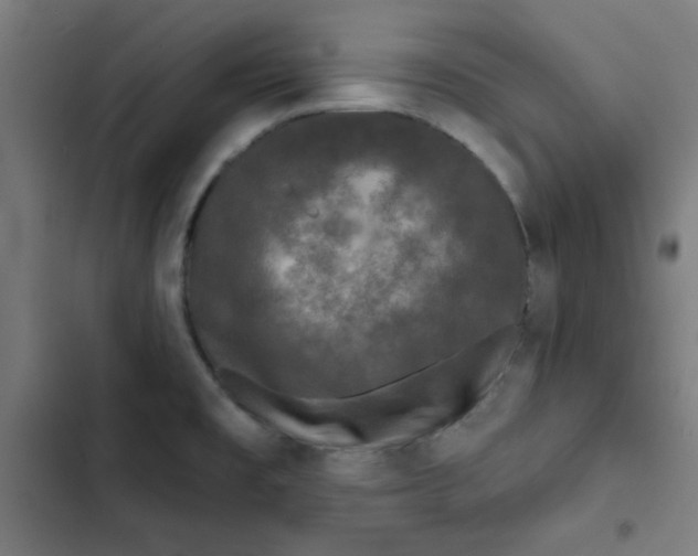 X0000102491477200809051310