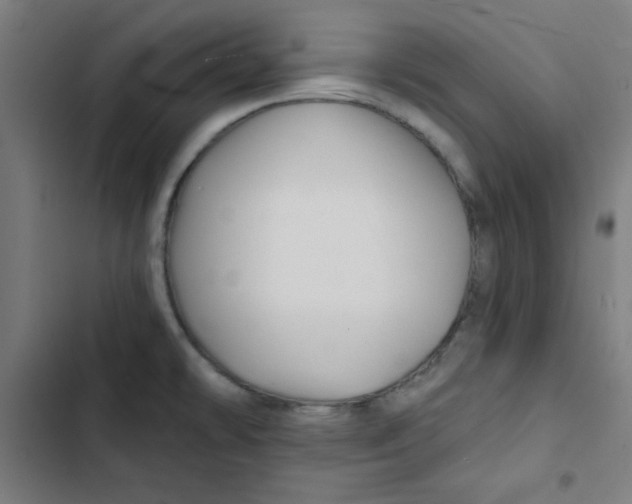 X0000102491478200809051310