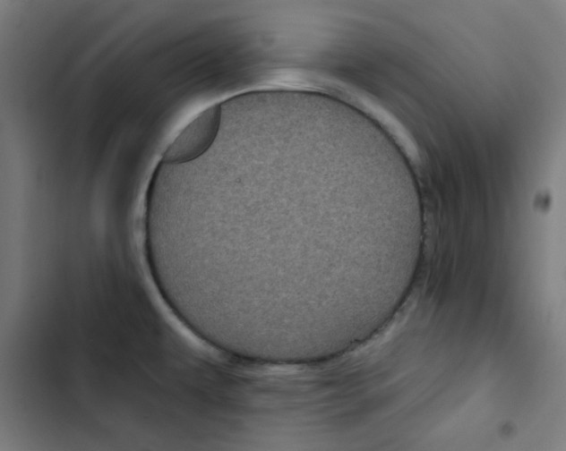 X0000102491479200809051310