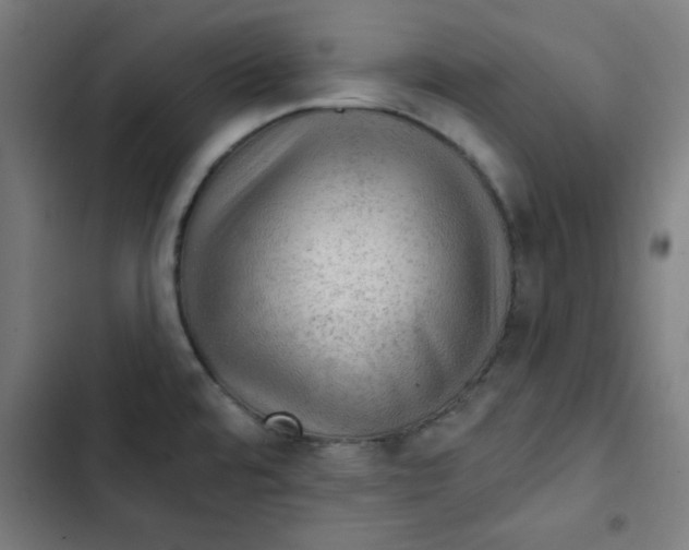 X0000102491480200809051310