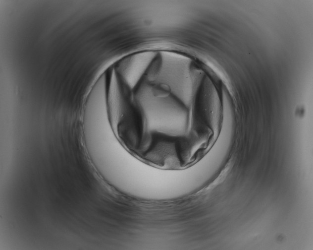 X0000102491481200809051310