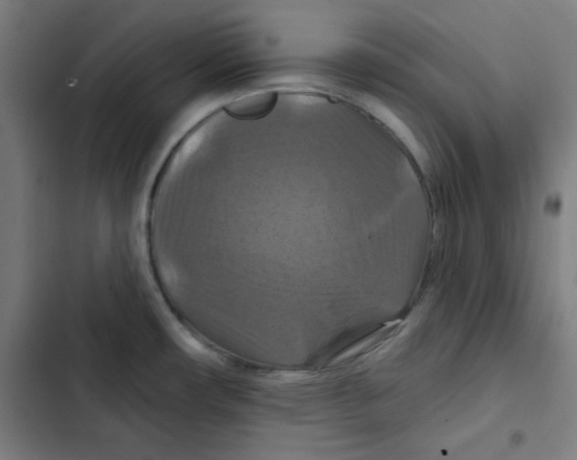 X0000102491482200809051310