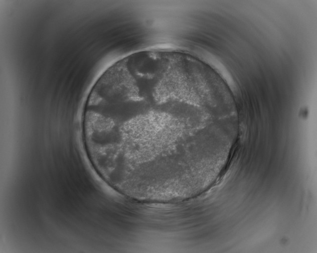 X0000102491483200809051310