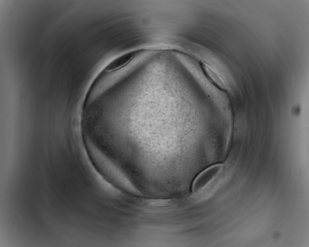 X0000102491484200809051310