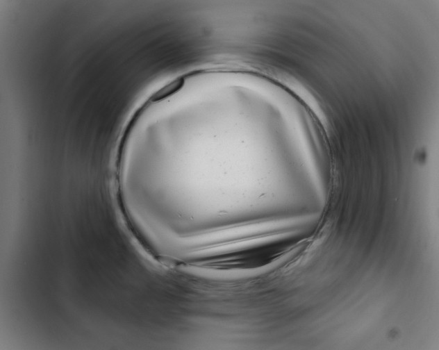 X0000102491485200809051310