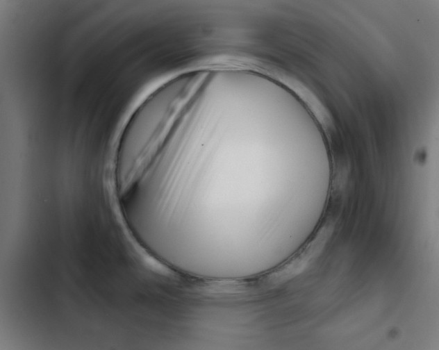 X0000102491486200809051310