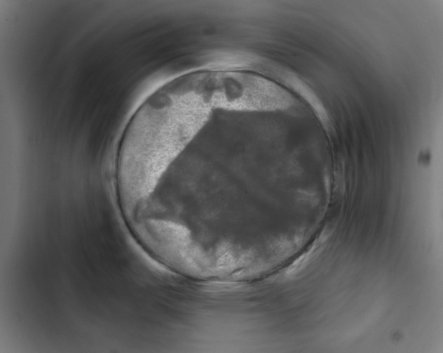 X0000102491487200809051310